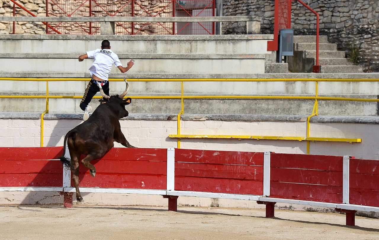 与RB莱比