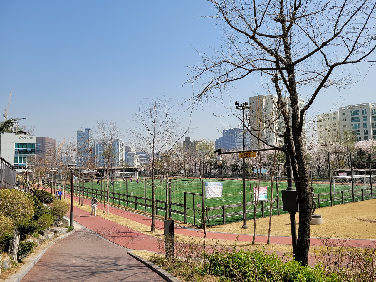 的实际情况 的实际情况