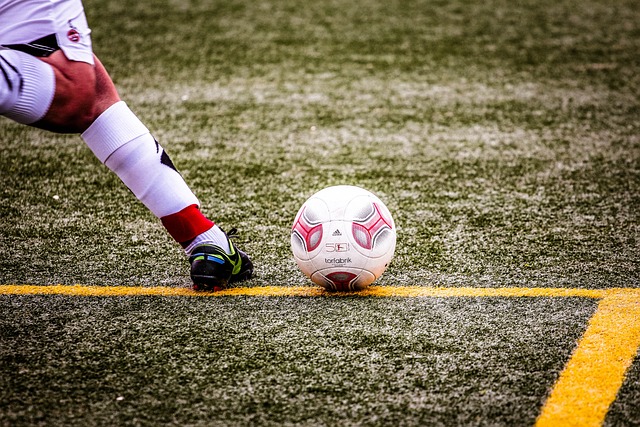 以获得优质 以获得优质