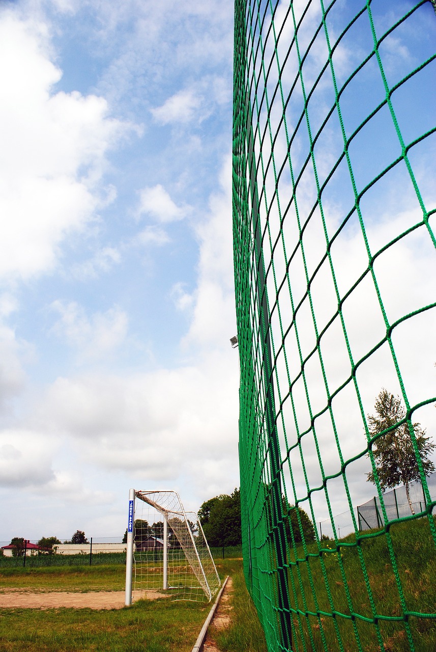 韩镕泽的加 韩镕泽的加