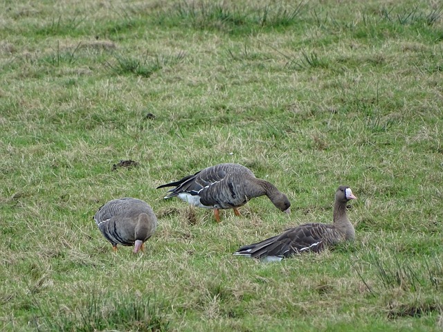 实践结合 实践结合