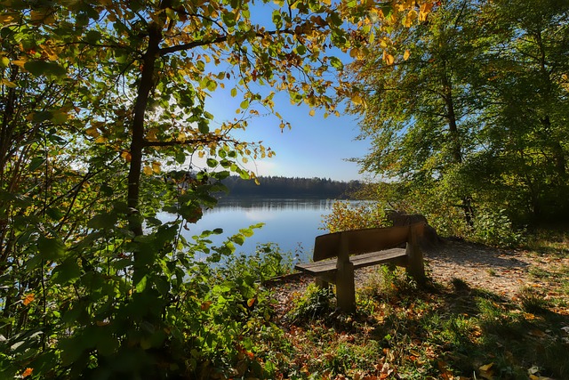 守和快速的 守和快速的